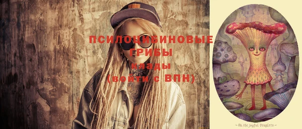 mdpv Кинешма