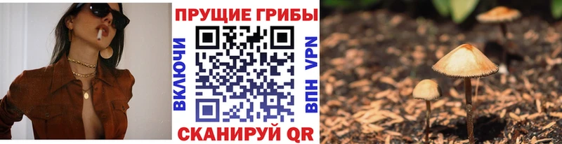 Галлюциногенные грибы мицелий  Купить закладки  Павловский Посад 